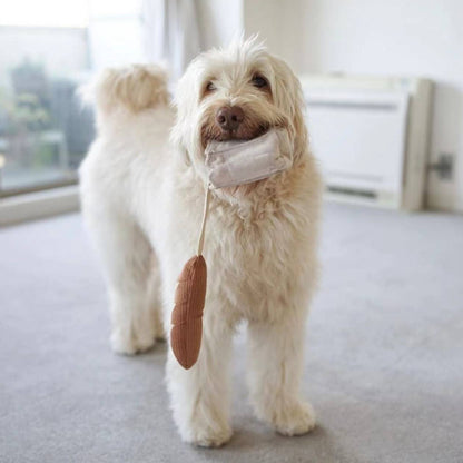 Mini-baguette pour chien