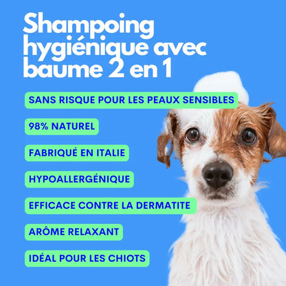 Shampooing 2-en-1 THE NUMBER ONE