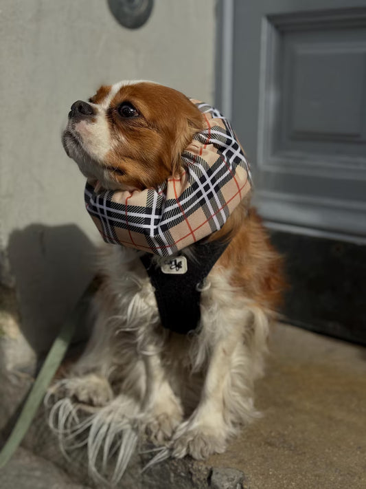 Snood imperméable - Beige tartan