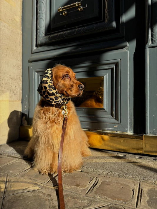 Snood imperméable - Léopard