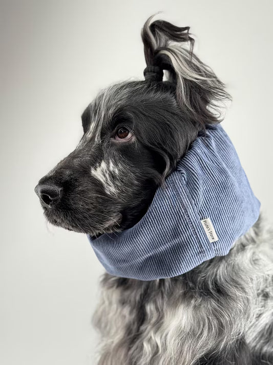Snood en velours côtelé - Bleu
