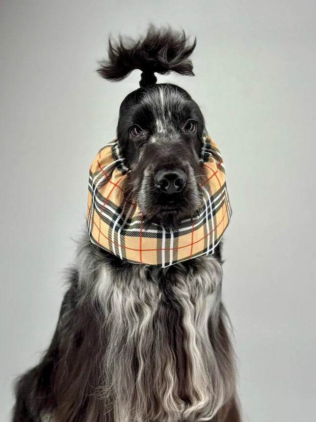 Snood imperméable - Beige tartan