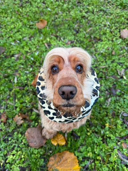 Snood imperméable - Léopard