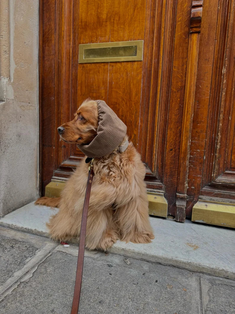 Snood en velours côtelé - Marron