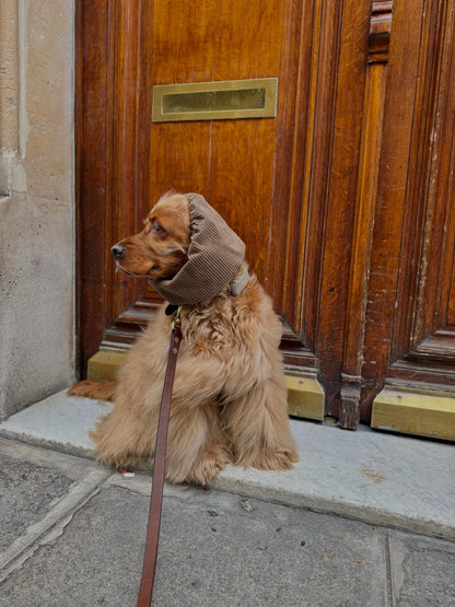 Snood en velours côtelé - Marron