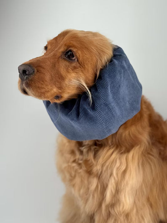Snood en velours côtelé - Bleu