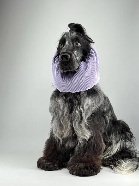 Snood en velours côtelé - Lilas