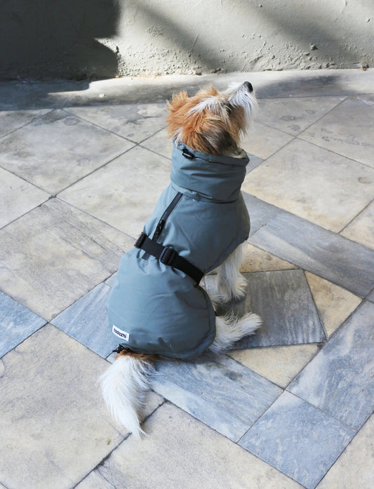 Veste d'hiver - vert